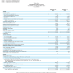 Tesla Balance Sheet Example