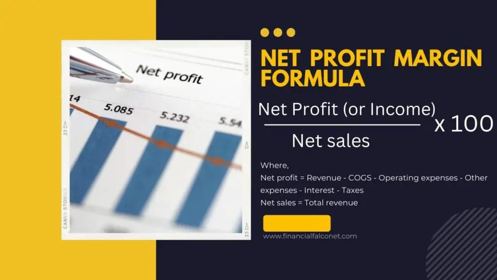 The formula for net profit margin example