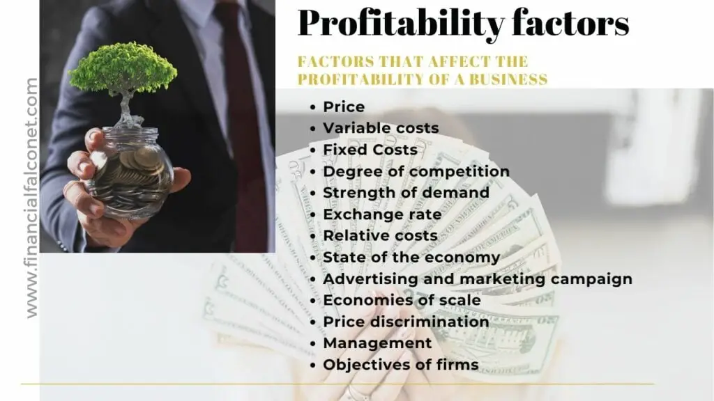Factors that affect profitability of a business