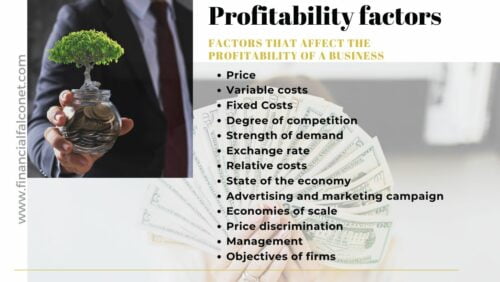 profitability factors