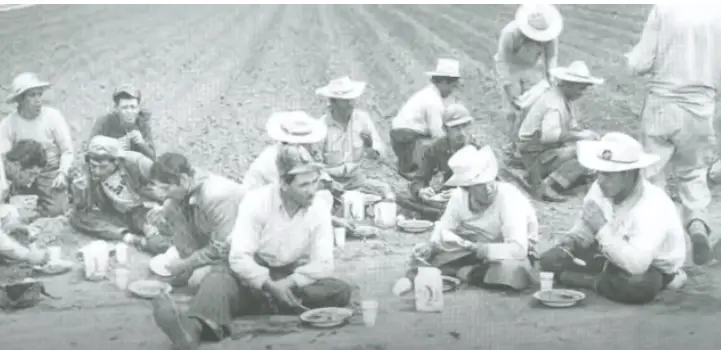 one of the bracero program benefits was its provision of jobs to nearly 5 million braceros