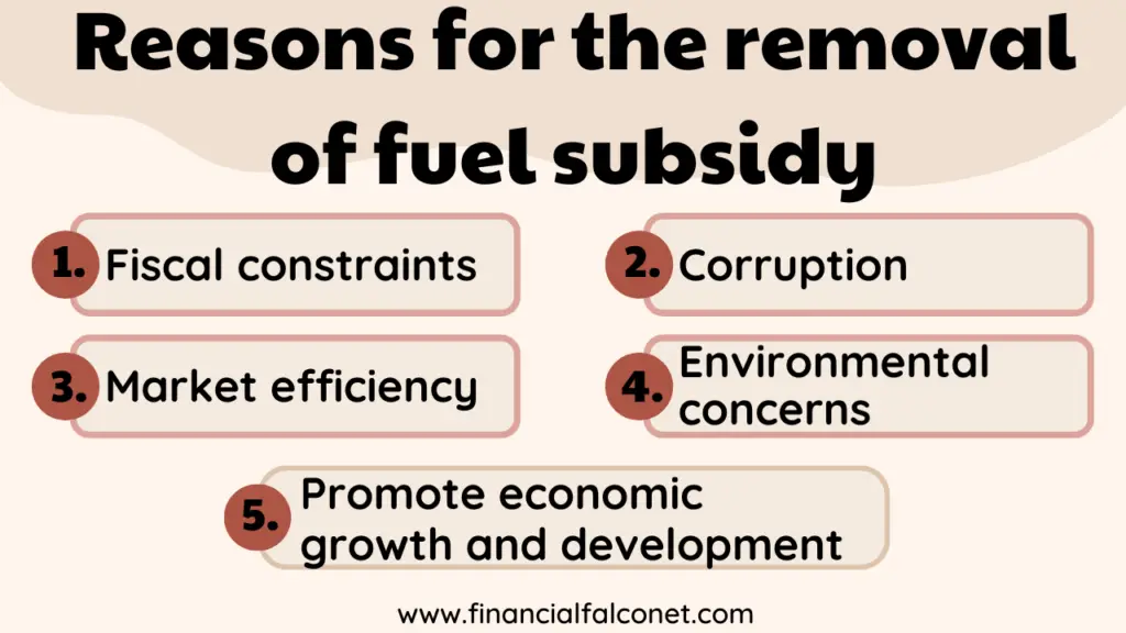 Reasons for removal of fuel subsidy