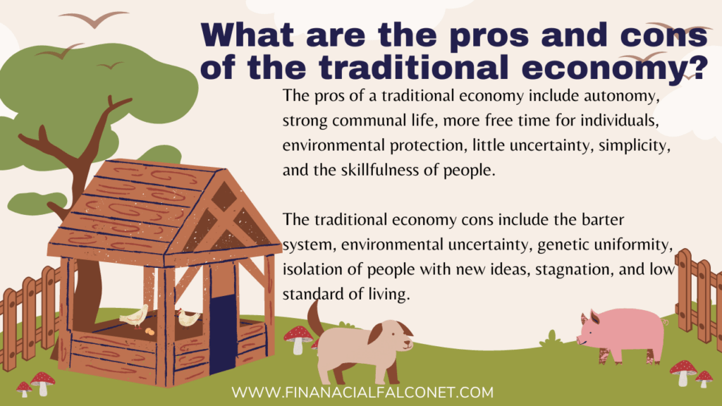 Traditional economy pros and cons