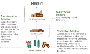 Nestle palm oil supply chain diagram