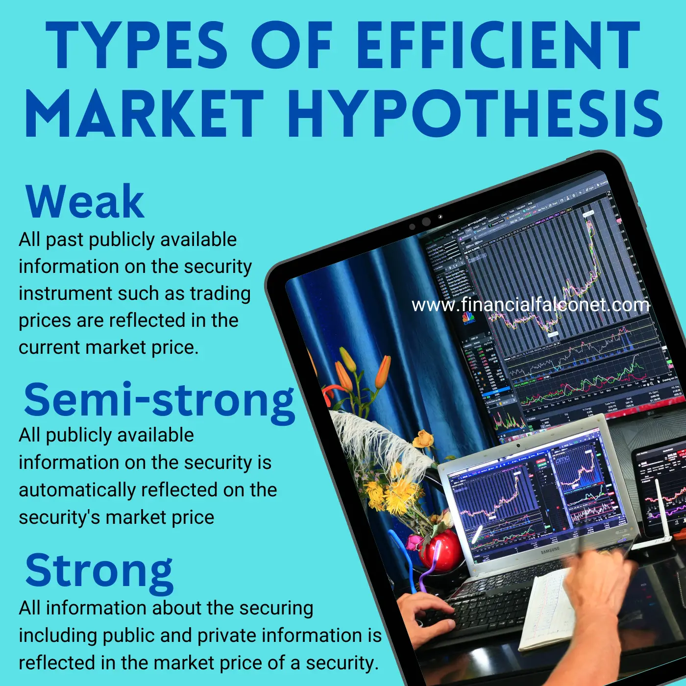 Types of efficient market hypothesis